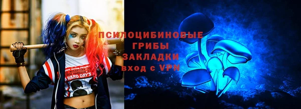 Альфа ПВП Арсеньев